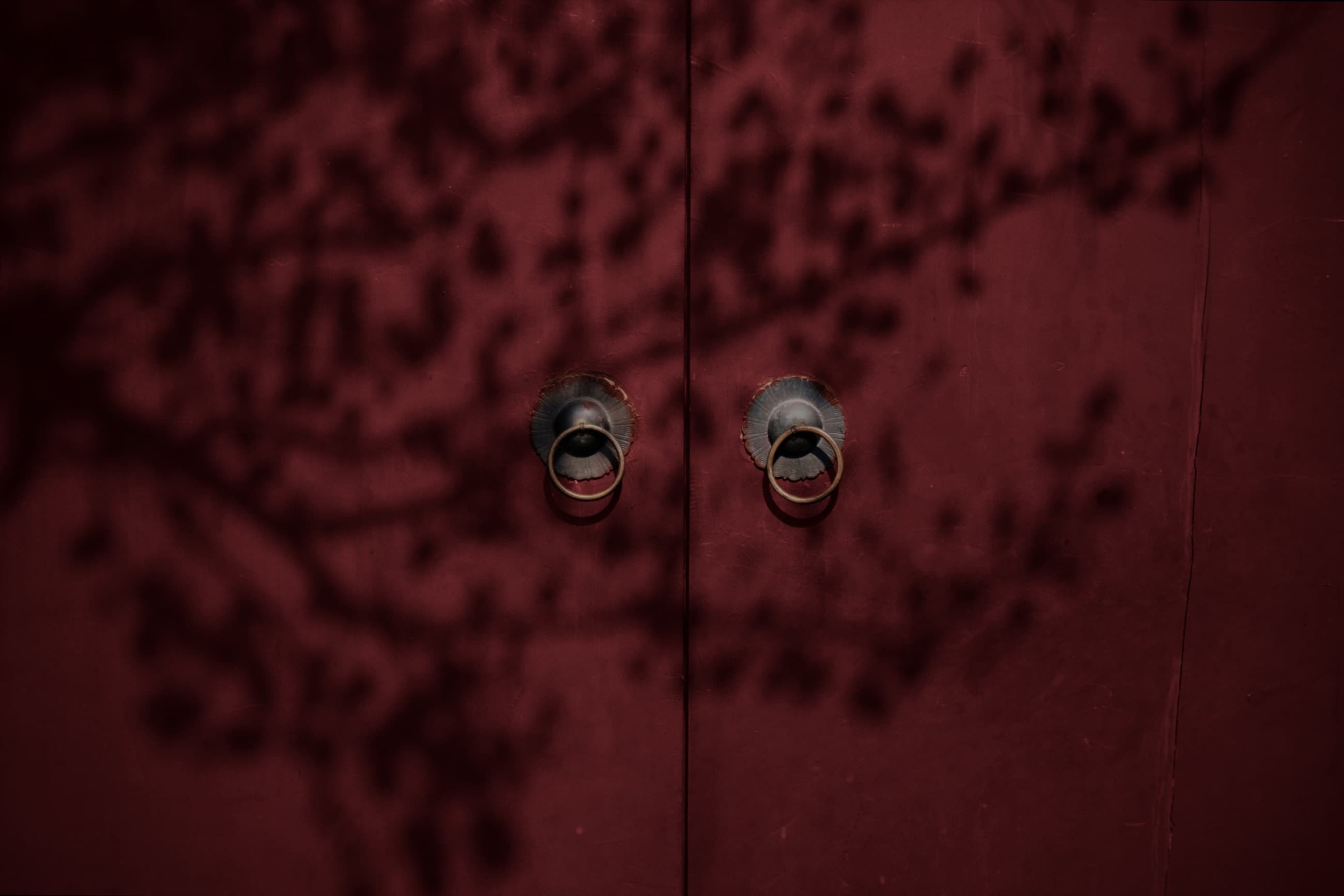 Puerta de madera color bordeaux con la sombra de las ramas de un árbol